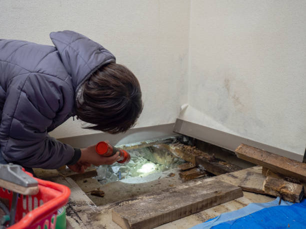 Best Forensic Mold Investigation  in Mustang, OK