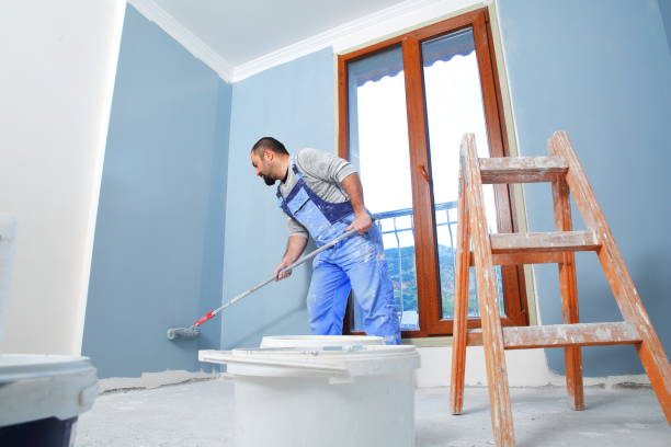 Best Black Mold Removal  in Mustang, OK