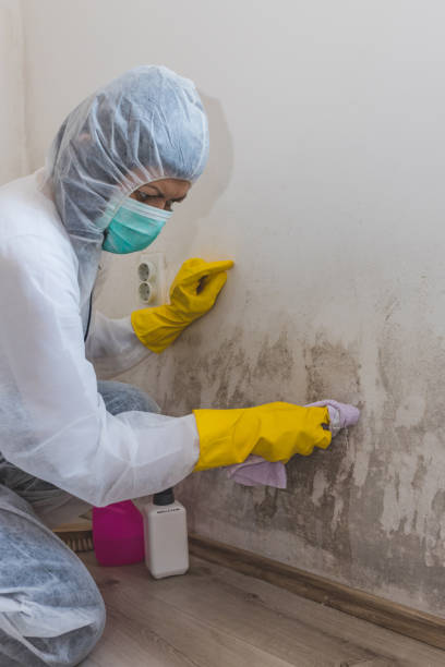 Best Water Damage & Mold Remediation  in Mustang, OK
