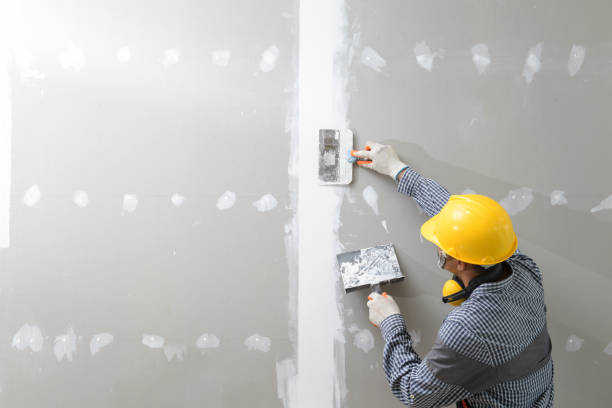 Best Basement Mold Removal  in Mustang, OK