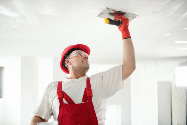 Best Mold Odor Removal Services  in Mustang, OK