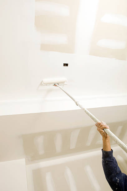 Best Mold Removal for HVAC Installations  in Mustang, OK