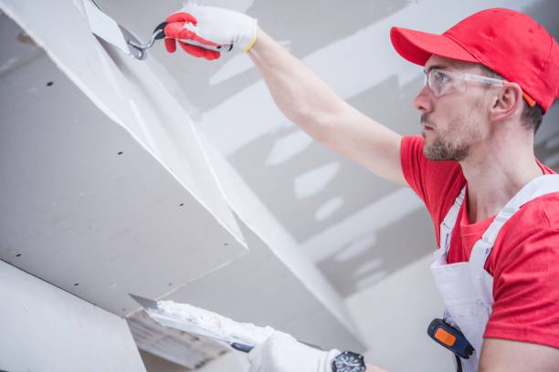 Best Mold Remediation for Vacation Homes  in Mustang, OK