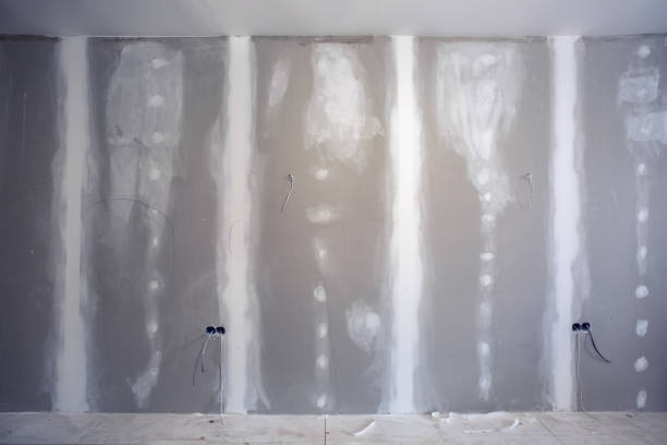 Best Post-Construction Mold Inspection  in Mustang, OK